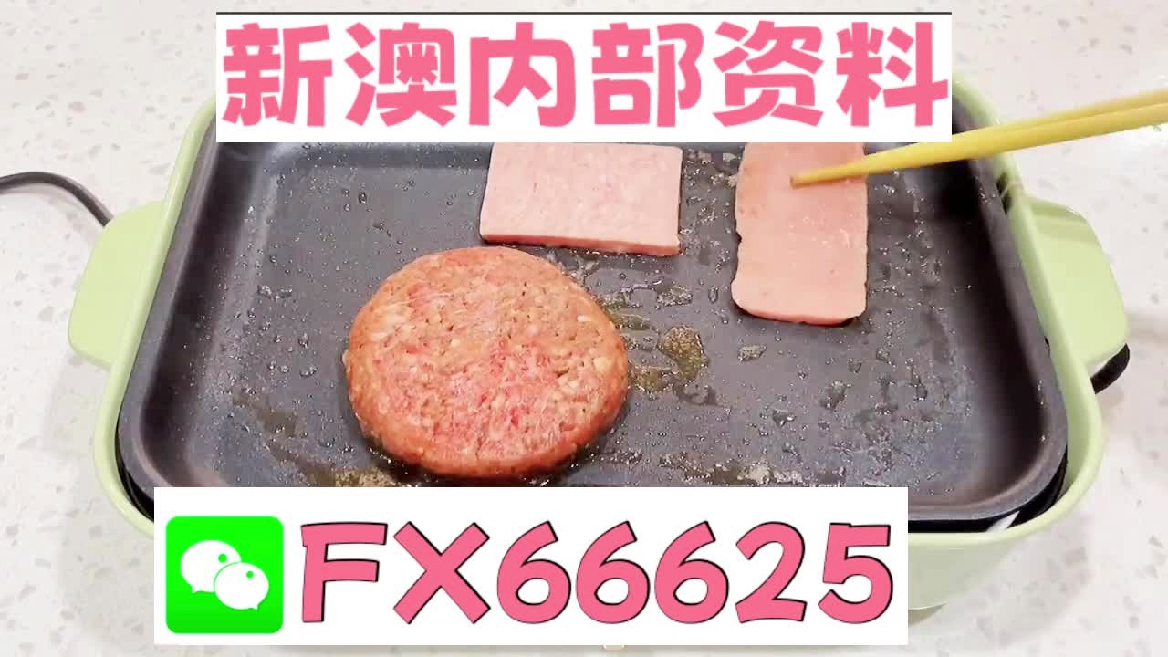 新澳门精准二码中特,多样化策略执行_XE版72.552